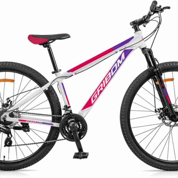Bicicleta GRIBOM rodado 29" dama 21 velocidades disco de aluminio. - Mod. SUNRUN - NAZCA 2929SD