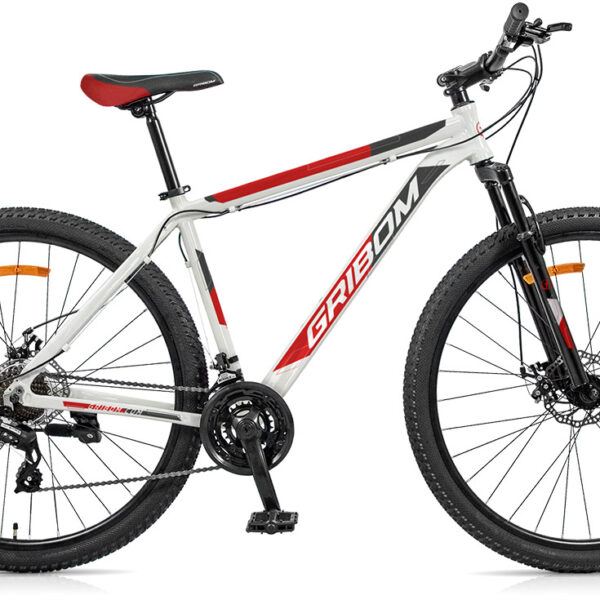 Bicicleta GRIBOM mtb rodado 29" 21 velocidades disco aluminio. - Mod. SUNRUN NAZCA  2929L